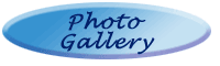 Photo Gallery Demo button